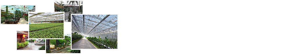 24小時(shí)免費(fèi)咨詢、免費(fèi)技術(shù)指導(dǎo)