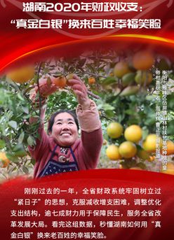 海報(bào)丨湖南2020年財(cái)政收支:“真金白銀”換來百姓幸福笑臉